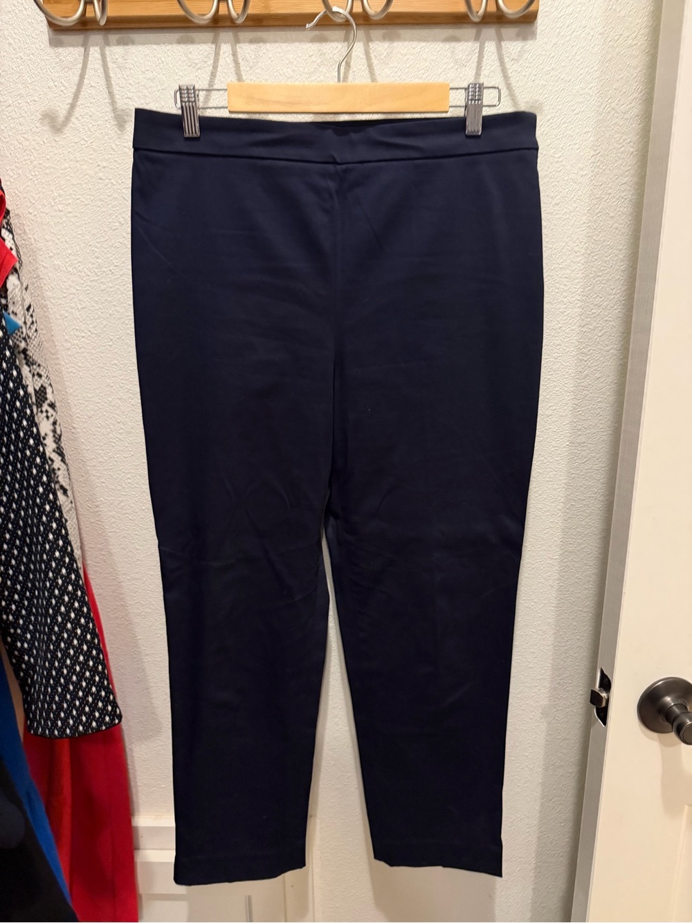Ann Taylor Navy Ankle Pant